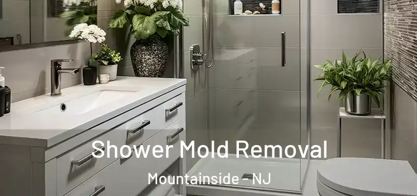  Shower Mold Removal Mountainside - NJ