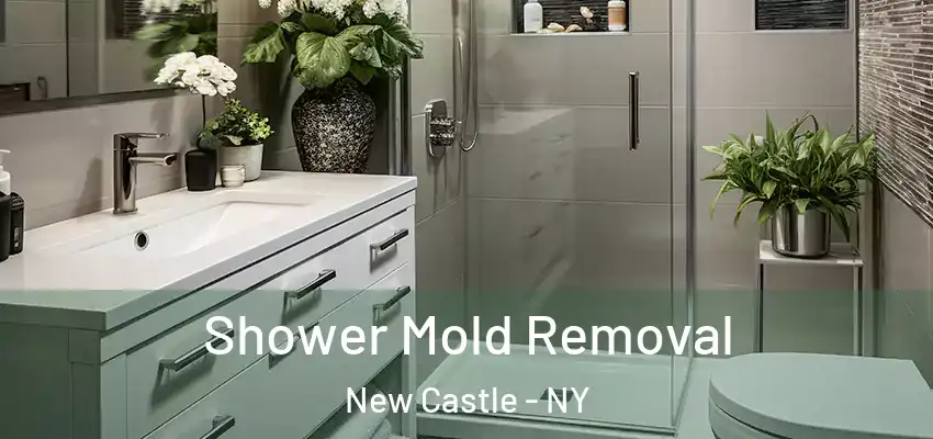 Shower Mold Removal New Castle - NY