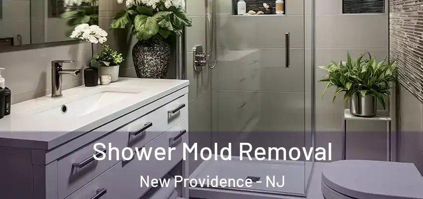  Shower Mold Removal New Providence - NJ