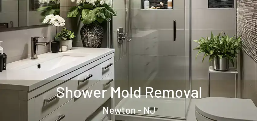  Shower Mold Removal Newton - NJ