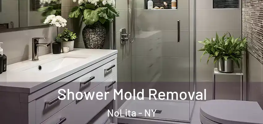  Shower Mold Removal NoLita - NY