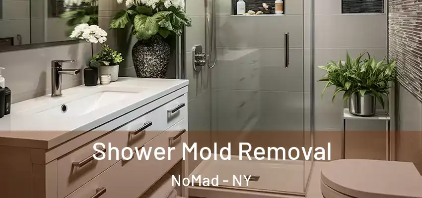  Shower Mold Removal NoMad - NY