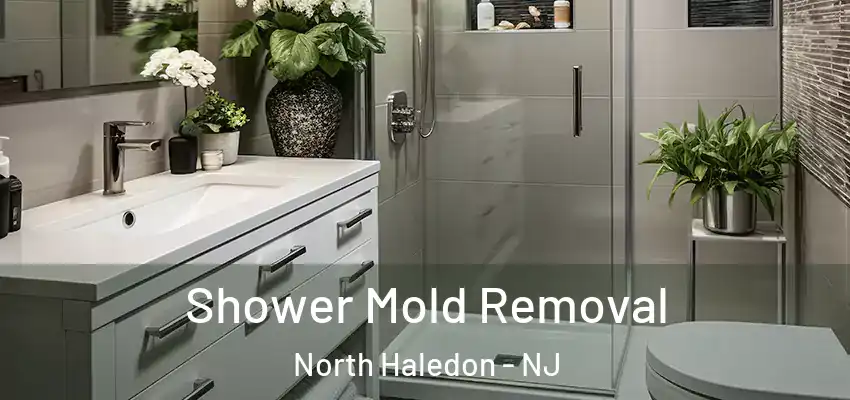  Shower Mold Removal North Haledon - NJ