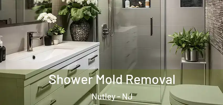 Shower Mold Removal Nutley - NJ