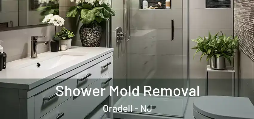 Shower Mold Removal Oradell - NJ