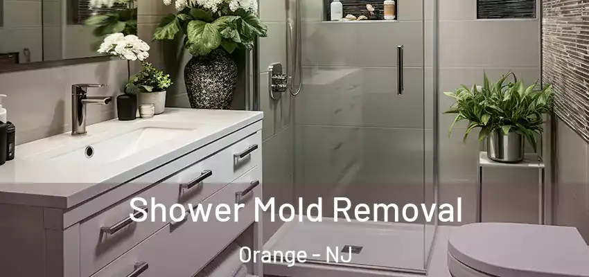Shower Mold Removal Orange - NJ
