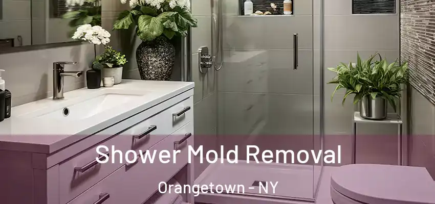  Shower Mold Removal Orangetown - NY