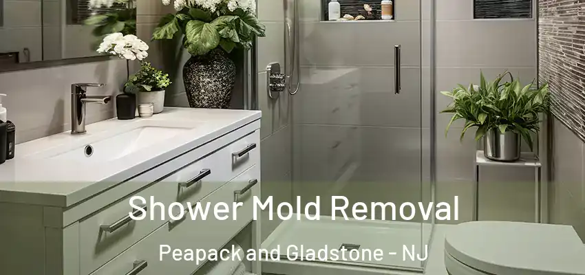 Shower Mold Removal Peapack and Gladstone - NJ