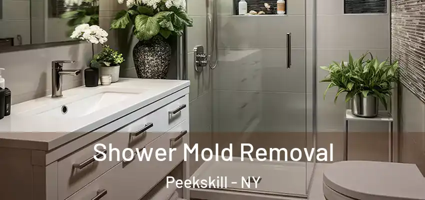 Shower Mold Removal Peekskill - NY