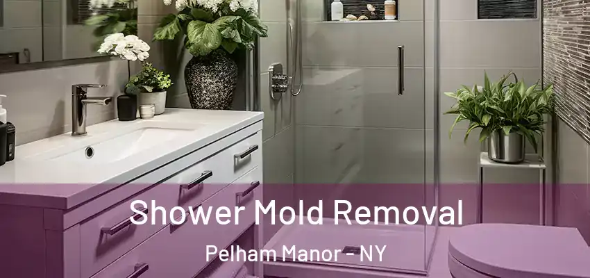  Shower Mold Removal Pelham Manor - NY