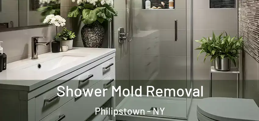 Shower Mold Removal Philipstown - NY
