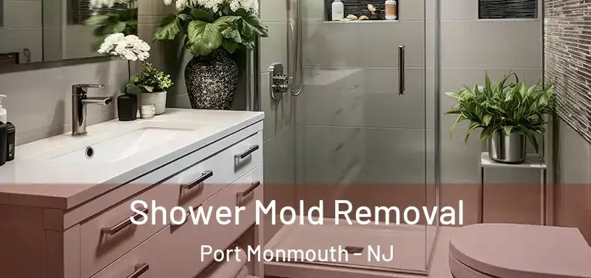 Shower Mold Removal Port Monmouth - NJ