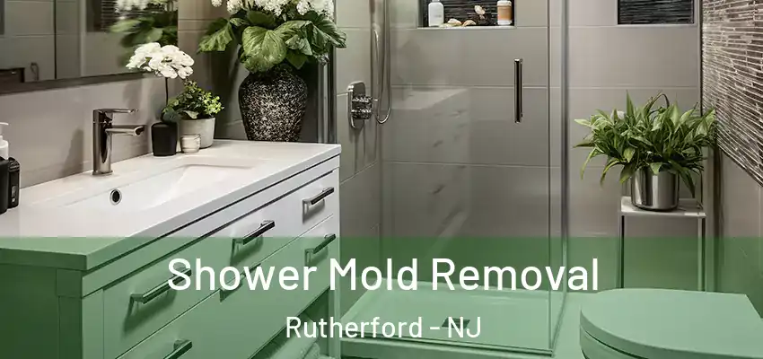  Shower Mold Removal Rutherford - NJ