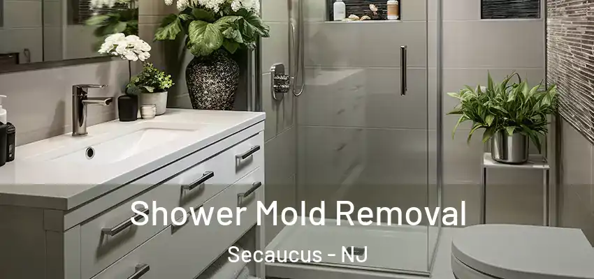  Shower Mold Removal Secaucus - NJ