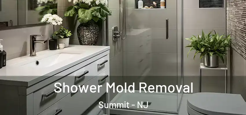 Shower Mold Removal Summit - NJ