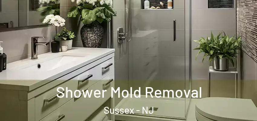  Shower Mold Removal Sussex - NJ