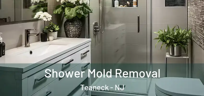  Shower Mold Removal Teaneck - NJ