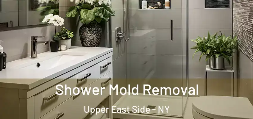  Shower Mold Removal Upper East Side - NY