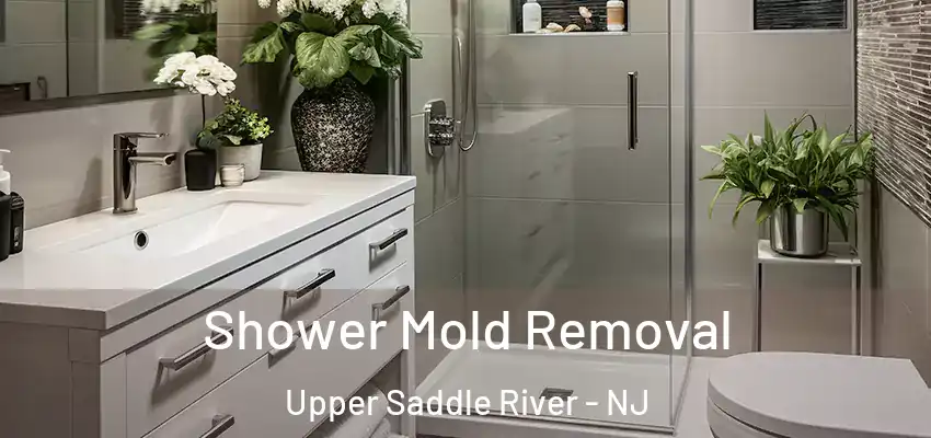 Shower Mold Removal Upper Saddle River - NJ