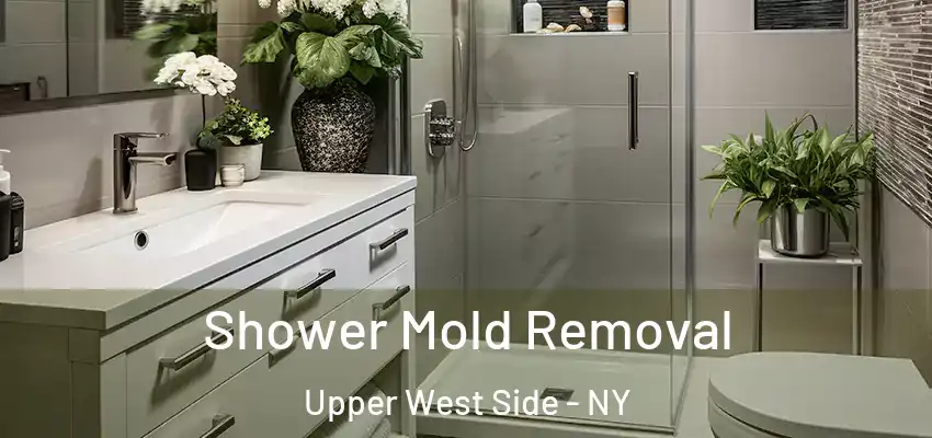  Shower Mold Removal Upper West Side - NY