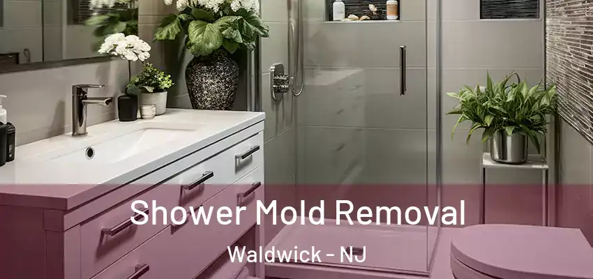  Shower Mold Removal Waldwick - NJ