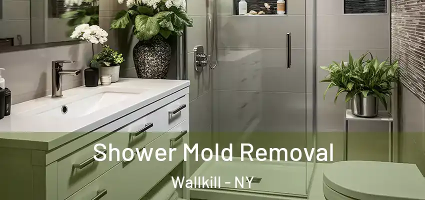 Shower Mold Removal Wallkill - NY