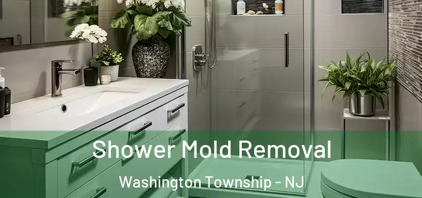 Shower Mold Removal Washington Township - NJ