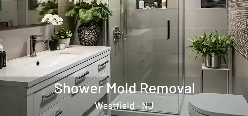  Shower Mold Removal Westfield - NJ