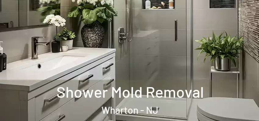 Shower Mold Removal Wharton - NJ