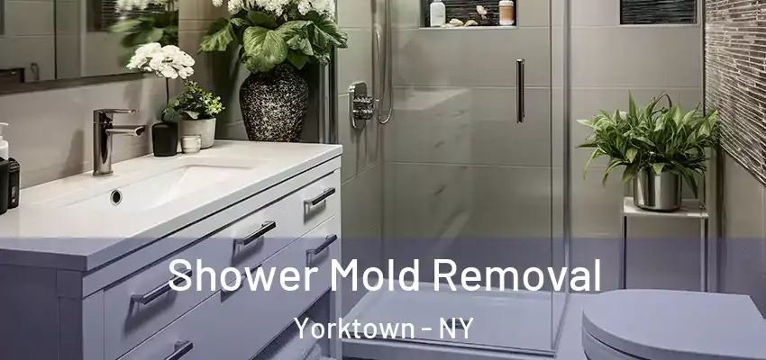 Shower Mold Removal Yorktown - NY